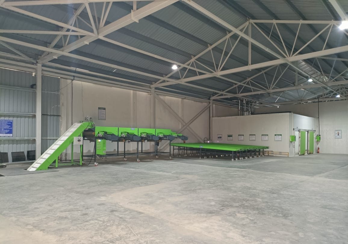 Grading & dispatch hall